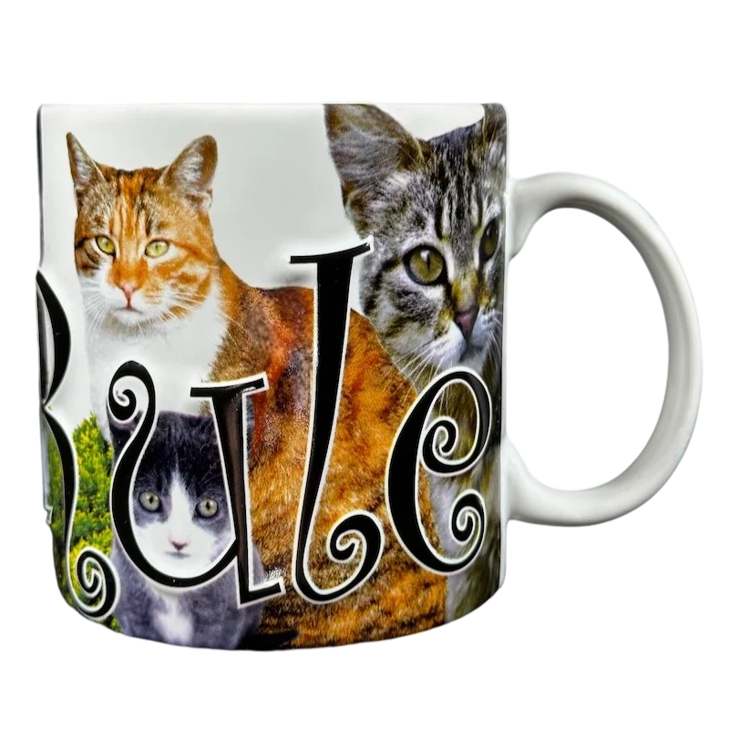 Cats Rule 3D Embossed Mug Americaware